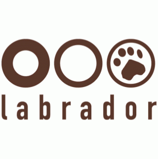 The Radio Dept Record Label: Labrador
