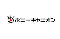 The Radio Dept Record Label: Pony Canyon
